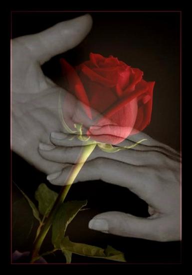 Ты скажи, тебе ль я дорог