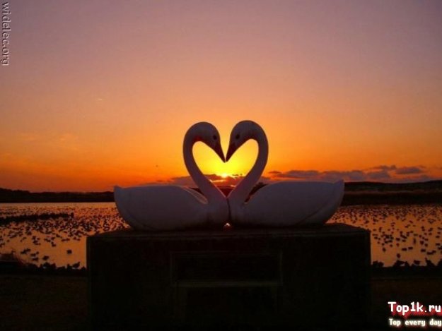 Что такое любовь?