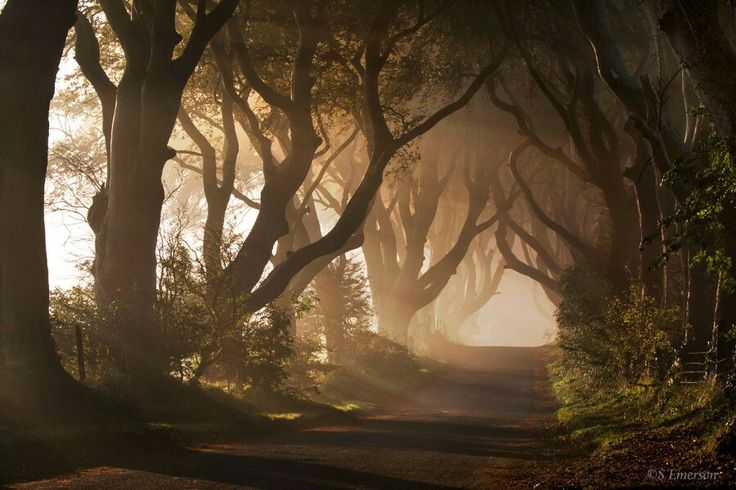 Начитавшись стихов...