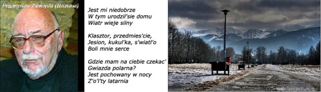 Чёрные тени... -яс