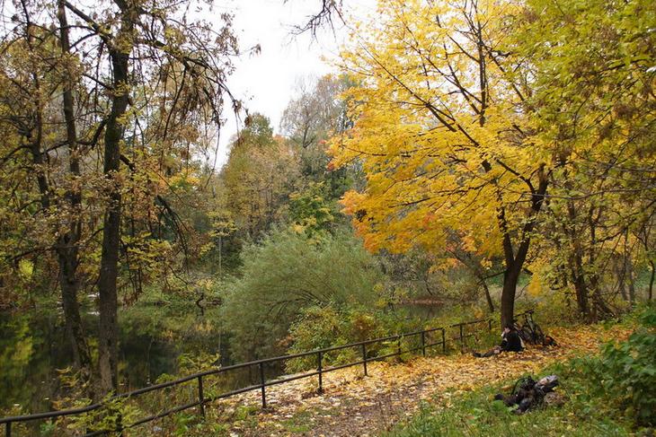 А осень всё-таки пришла...