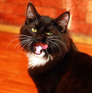 А. Сп. Невезон! С добавлениями