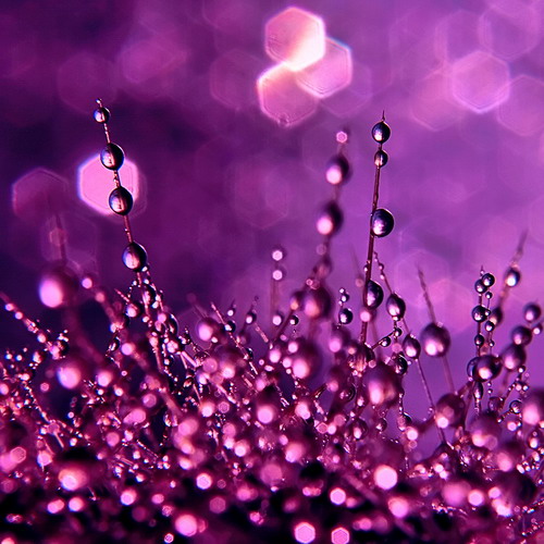 Какого цвета любовь?