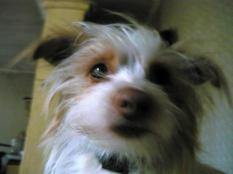 Лето кончилось для Джинки