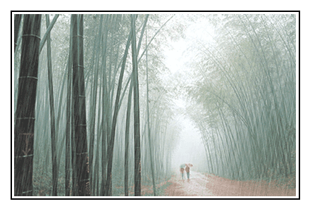 Вслед за дождём...