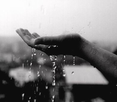 Дождём прощальным тихо плачет лето...