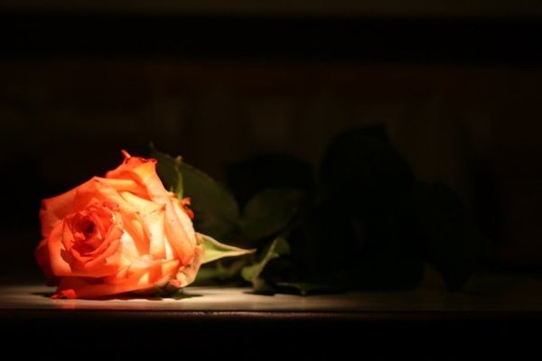 Я не... вещь!