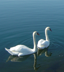 ЖизньравноЛюбовь