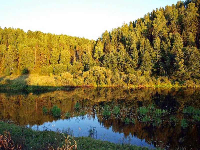 В Окружении Изумрудной Тайги