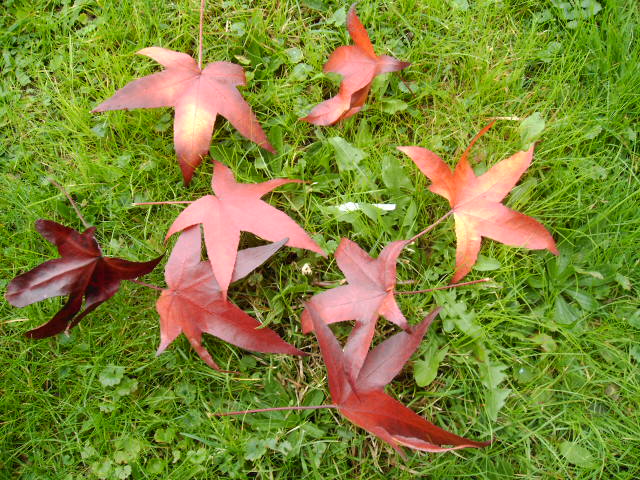 Любовь прошла, как летняя гроза