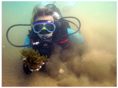 Морское приключение