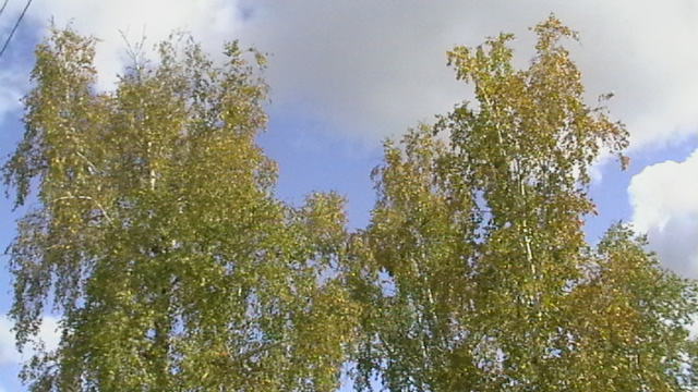 Осенний корабль