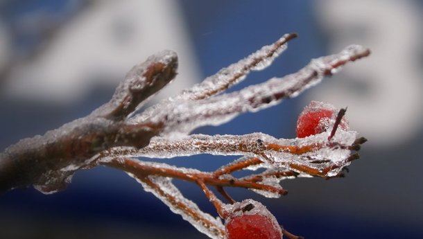 Не желаю... перемен