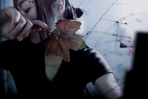 недоношенным молчанием