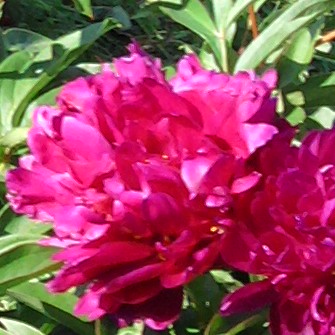 Ко дню учителя