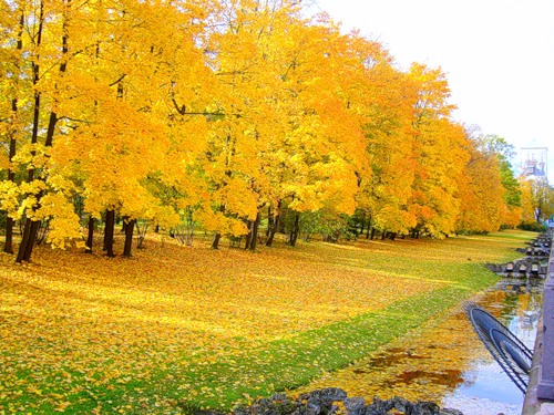 Хоронили любовь и меня вместе с ней...