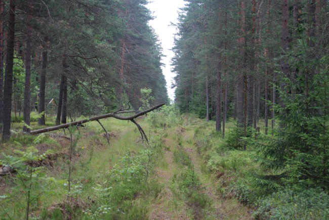 Как странно...