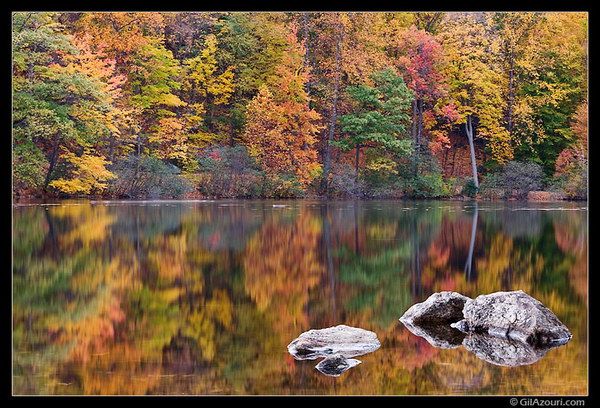 Красотку - осень так любя!
