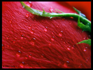 Он уже не будет..