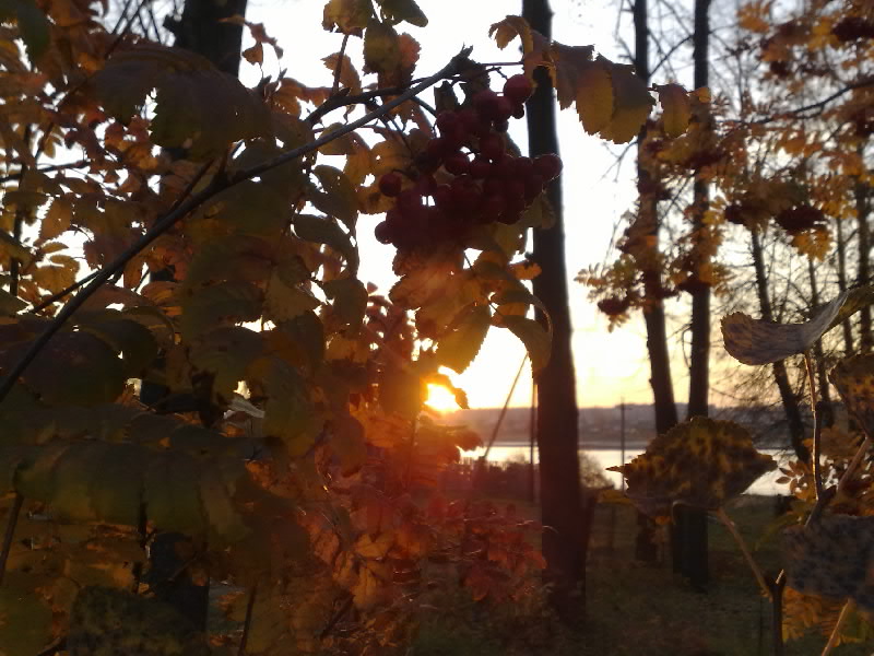 Я остался в осени когда-то