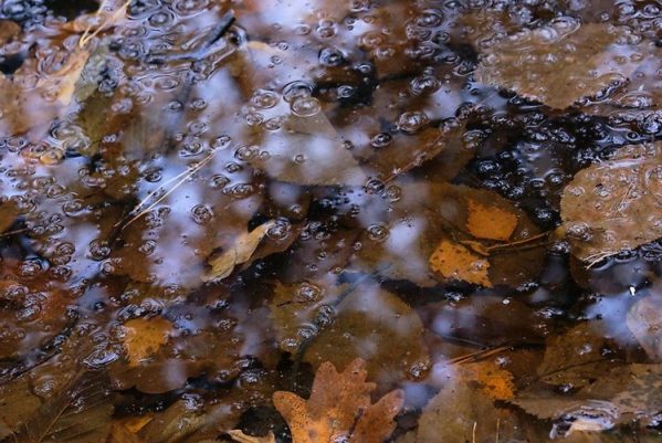 Осень в Сыктывкаре