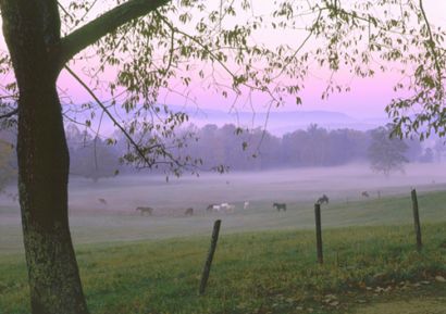 Прощай унылый старый город...