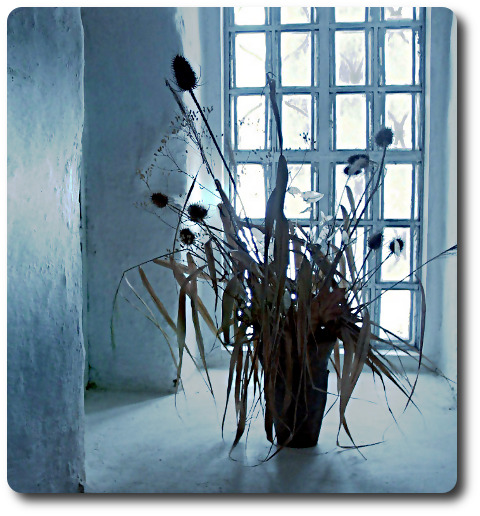 Одной надежды постоянство