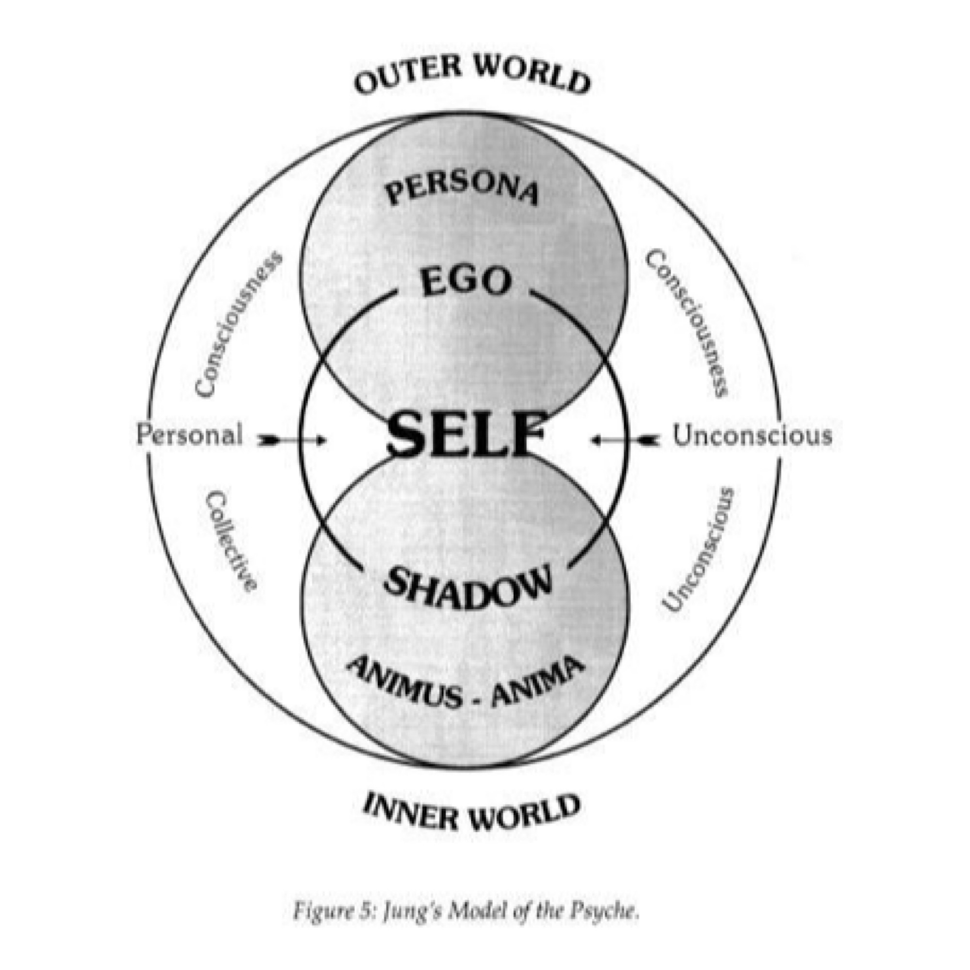 Работа с тенью!