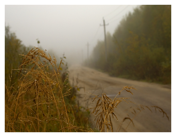 Дождь в ноябре