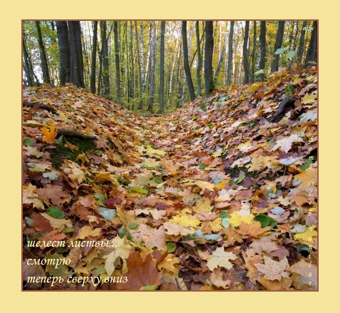 осенний этюд - хайга