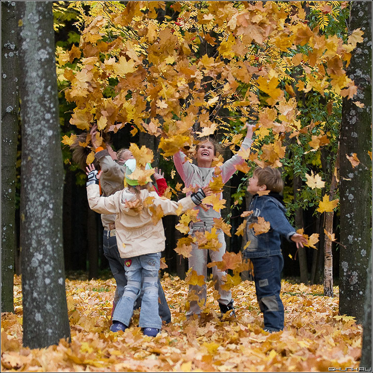 Осенью в лесу