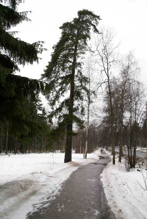 Чего же ты тогда искал...