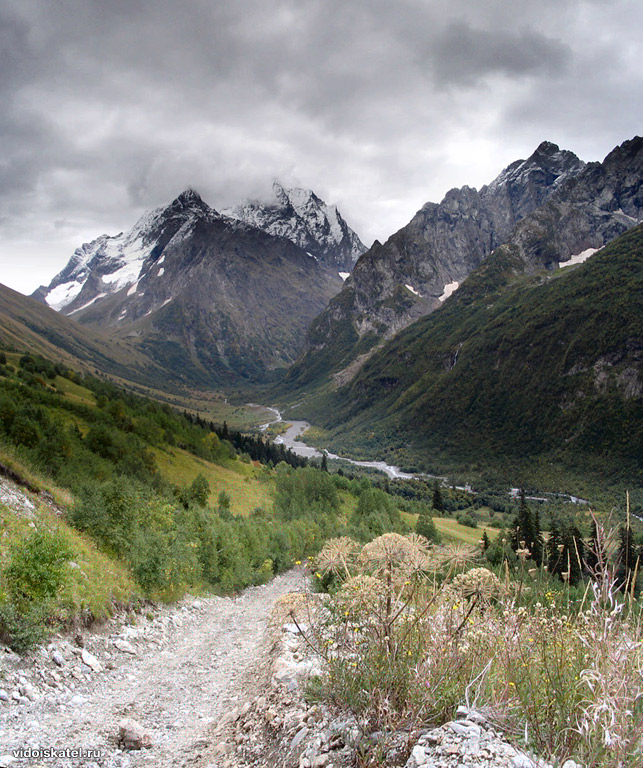 Песнь вечного поэта