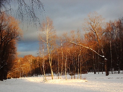 Заберу в Новый год...
