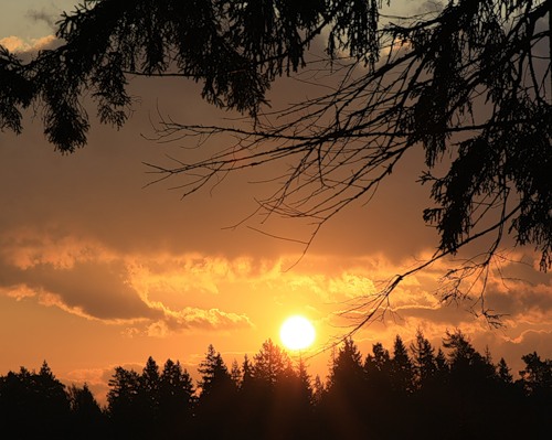 В мире прекрасном... Венок сонетов