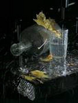 Ты налей, подруга, мне вина