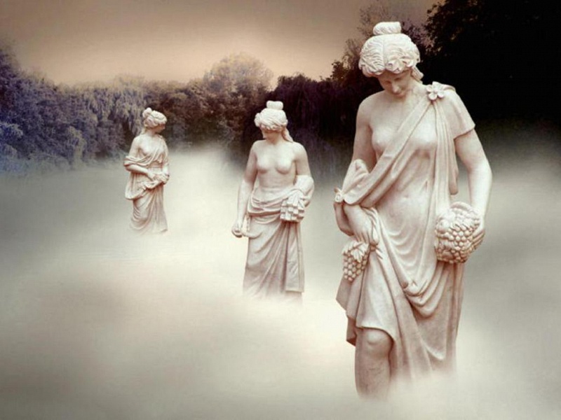 Любовь вели на эшафот...