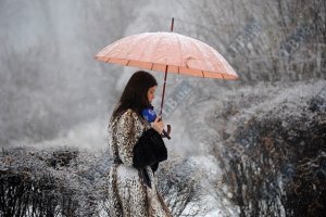 И вот опять пришла зима...