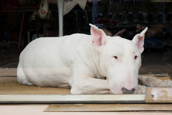 Мне кажется, что я Вас люблю