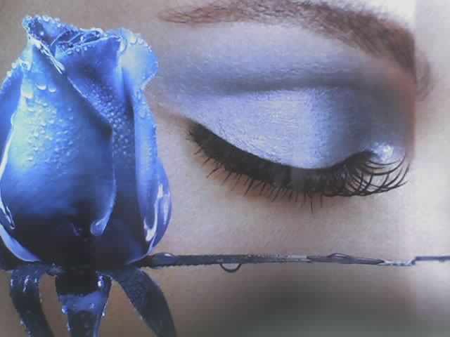 глаза в глаза...