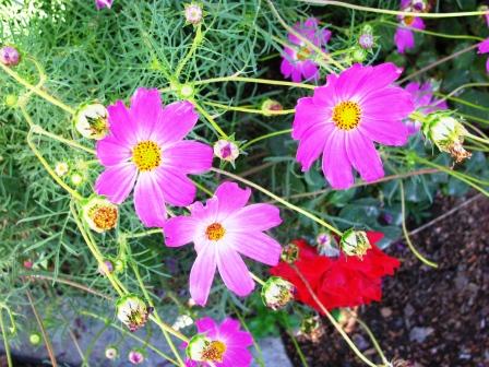 Творчество