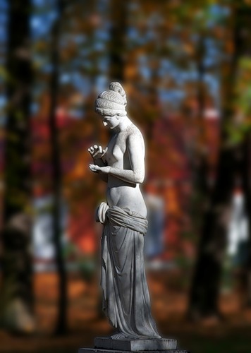 Темные краски поздней осени!!!