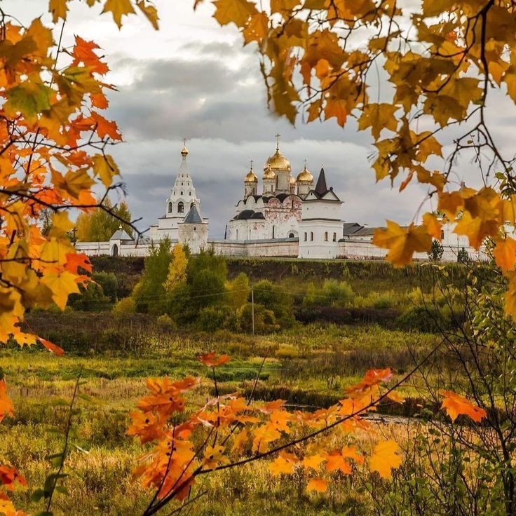 Тишина! Только дни убавляются!