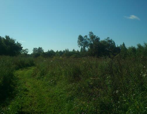 Под Понырями...