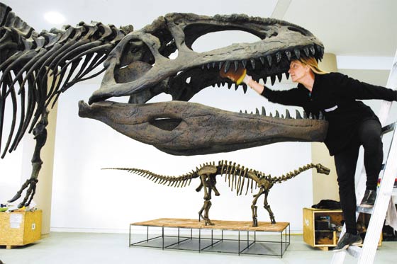 В гости к -заврам