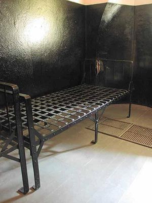 Сила золотого дракона. глава 7. поиски продолжаютс