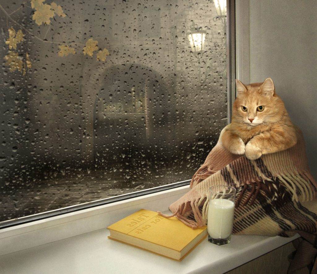 Зануда-Осень