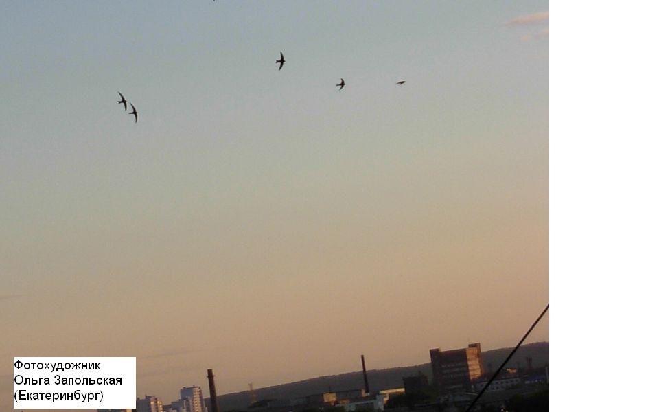 Озарение осеннее