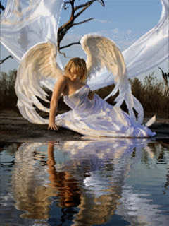 У любви одно крыло