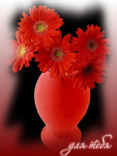 Ты не грусти моя родная